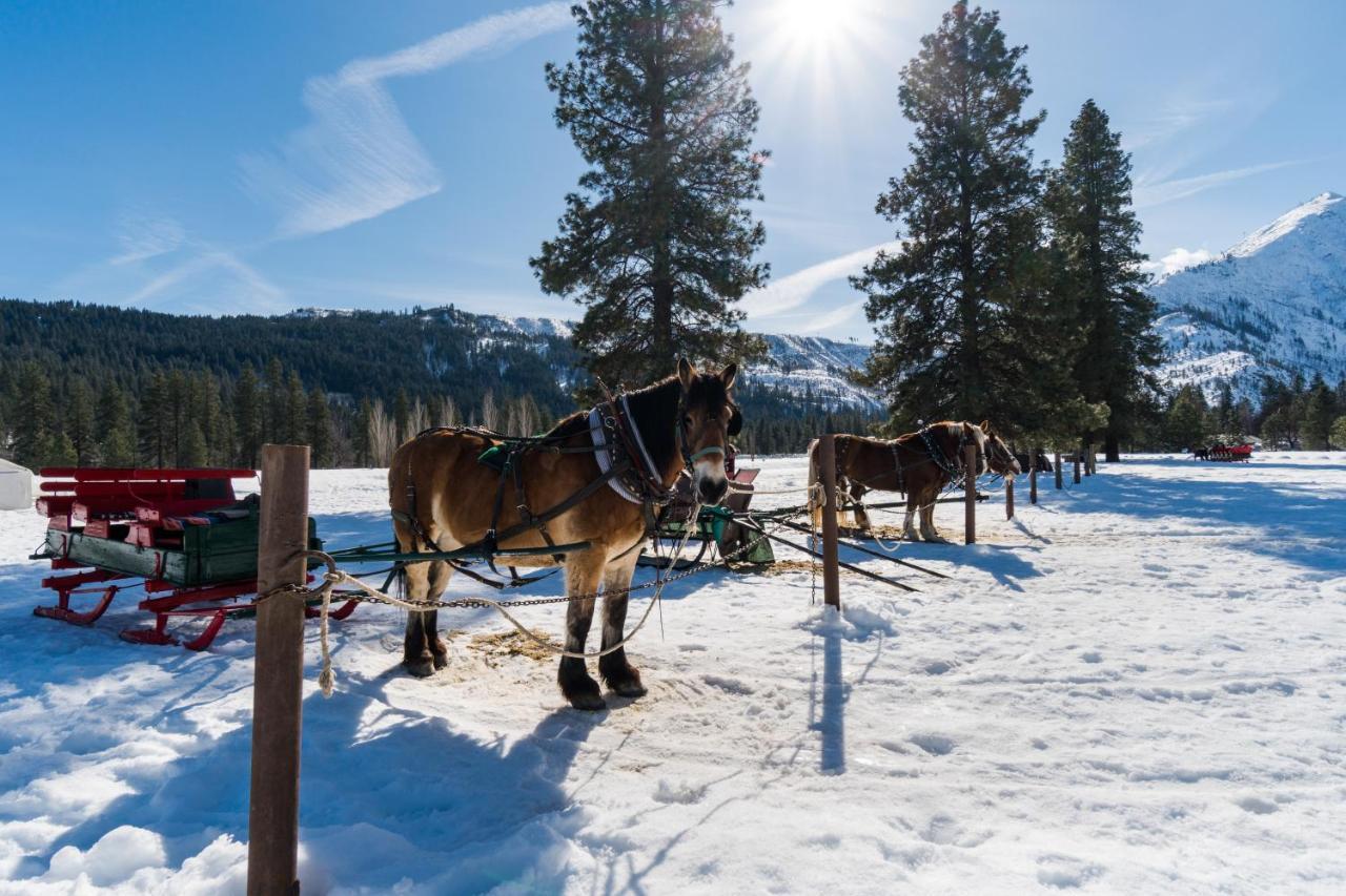 Aspen Suites 506: The Nest Leavenworth Buitenkant foto